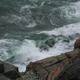 Image Credit - Arcadian Soul